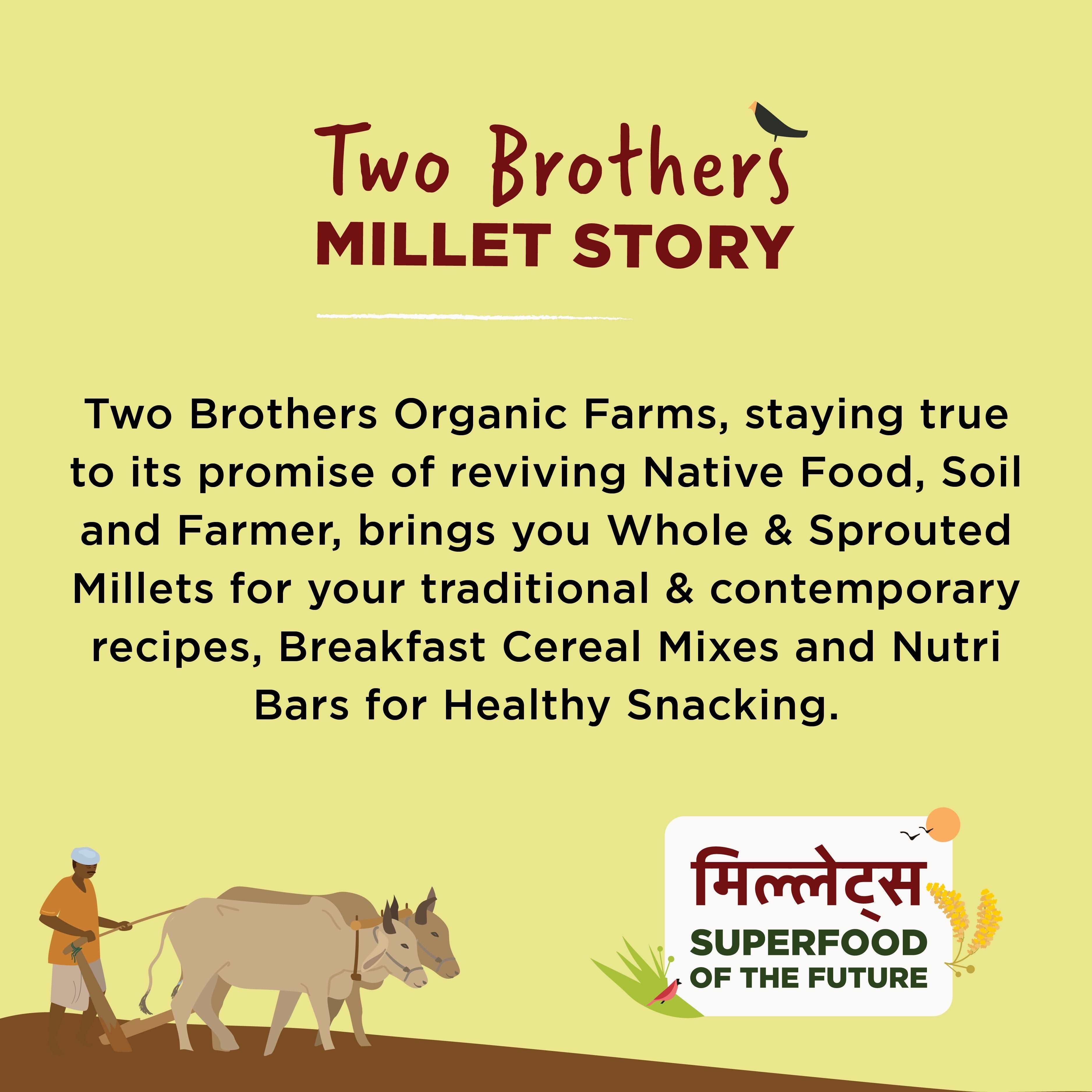 Best Barnyard Millet India Store