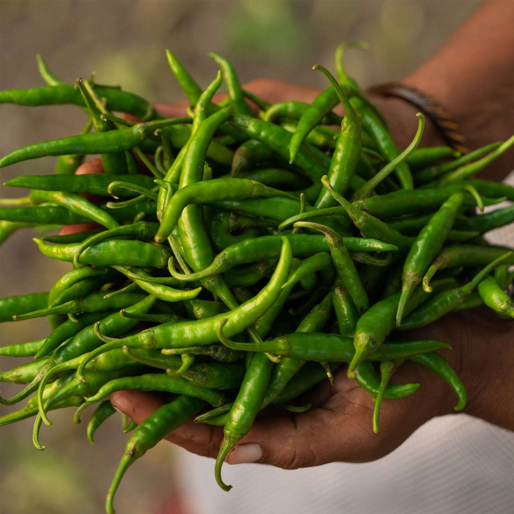 Online Spicy Green Chilly Pickle Shop Now